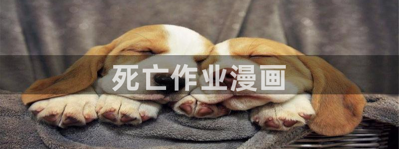 喵趣漫画可以看了吗：死亡作业漫画