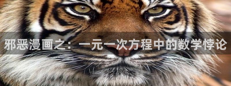 喵趣漫画官网网址：邪恶漫画之：一元一次方程中的数学悖论