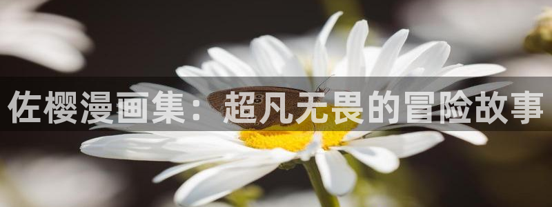 www喵趣.top：佐樱漫画集：超凡无畏的冒险故事