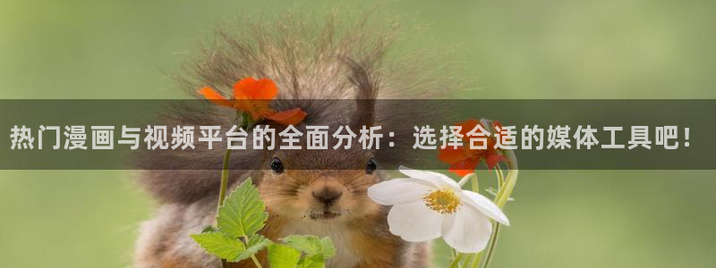 喵趣小说：热门漫画与视频平台的全面分析：选择合适的媒体工具吧！