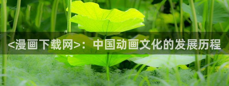 喵趣猫粮好不好：<漫画下载网>：中国动画文化的发展历程