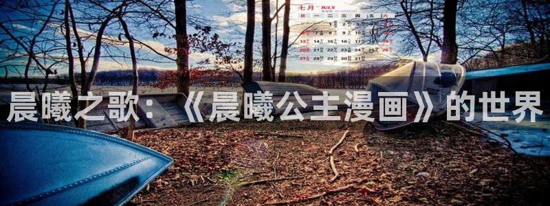 喵趣漫画免费看：晨曦之歌：《晨曦公主漫画》的世界