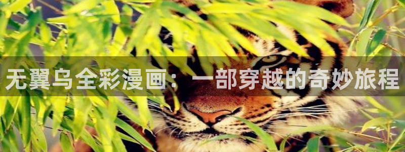 喵趣漫画正版官方：无翼乌全彩漫画：一部穿越的奇妙旅程